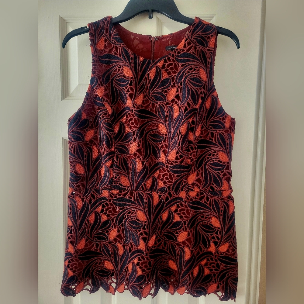NWOT ✨️ Stunning ✨️ Ann Taylor Sleeveless Top sz 6